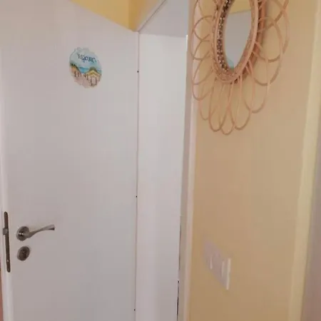 белия делфин Созополь